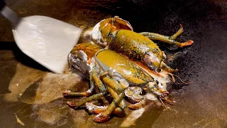 Teppanyaki Making - Lobster, Abalone, Oysters Feast - Japanese Seafood