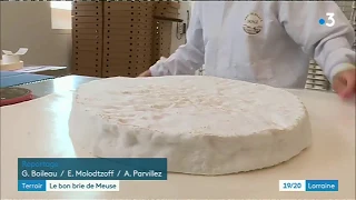 Brie de Meaux : un fromage produit en Meuse