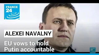 EU vows to hold Putin accountable at Navalny widow meeting • FRANCE 24 English