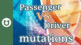 What are driver mutations vs passenger mutations?