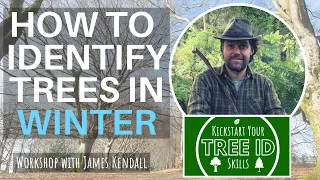 How To Identify Trees in Winter (Online Workshop 2 of 2)