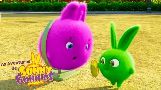 Não posso tocar nisso | As Aventuras de Sunny Bunnies | Desenhos Animados Infantis