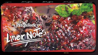 Animal Collective's Strawberry Jam (in 5 Minutes) | Liner Notes