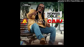 I Want No Heartache With You Girl - Norris Cole (Pioneer Internacional)