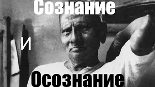 Да, Я Осознаю, что Сознание ОТСУТСТВУЕТ. ОСОЗНАНИЕ это изначальное состояние. НИСАРГАДАТТА МАХАРАДЖ