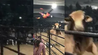 Rodeo Clown Gets Launched Into Space by a Angry Bull