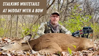 STALKING WHITETAILS at MIDDAY with a BOW ( Sevr 2.0 Broadhead)