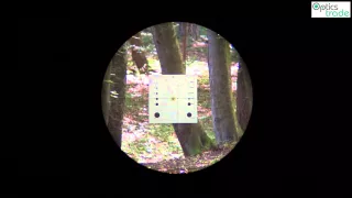 Sightron SIII 8-32x56 LR TDT reticle Target Dot subtensions