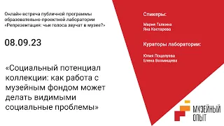 Социальный потенциал коллекции: как работа с музейным фондом делает видимыми социальные проблемы