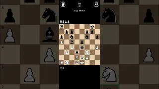 проигрыш в Шахматы