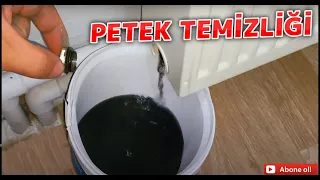 petek temizliği nasıl yapılır