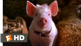 Babe: Pig in the City (1998) - That'll Do, Pig Scene (10/10) | Movieclips