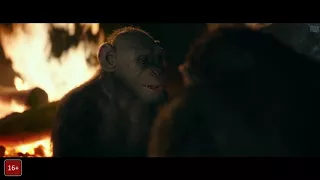 Плохая обезьяна / Планета обезьян:  Война