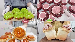 SUB) My home baking video 🍞ㅣDYEONG VLOGㅣepisode.2ㅣ1 hour asmr