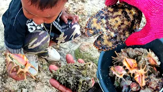 Mencari aneka Seafood bersama Bocil, kami menemukan Gurita, Kepiting langkah dan banyak kerang