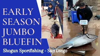 Early season Offshore Fishing for Bluefin Tuna 100lb on Shimano flat fall jig