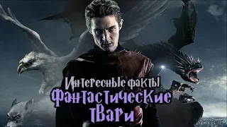 Интересные факты о фильме "Фантастические твари"