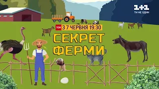 У спецпроєкті "Секрет ферми" ТСН покаже реалії фермерського життя