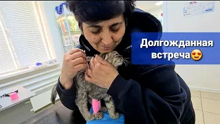 ЗВОНИЛИ С КЛИНИКИ, ЗАБИРАЕМ КОТЕНКА! Еще заболела Пуськина🥺