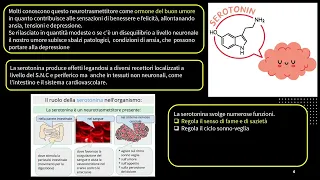 I NEUROTRASMETTITORI _DOPAMINA E SEROTONINA