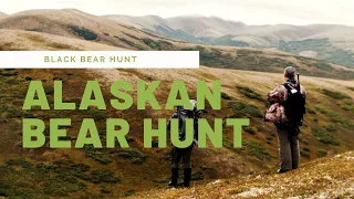 Giant 400 Pound Alaskan black bear Kill!