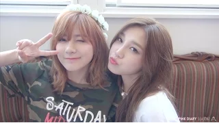 Apink Diary2 Special (Adieu 2015)