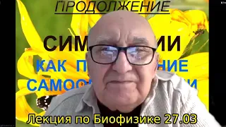 СИММЕТРИЯ - САМООРГАНИЗАЦИЯ в АКТИВНЫХ средах | БИОФИЗИКА (лекция) - ТВЕРДИСЛОВ В. А. ФизФак МГУ