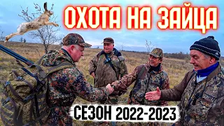 Охота на зайца.Везучий случай. Сезон 2022-2023.  #охотаназайцапочернотропу #охотаназайца