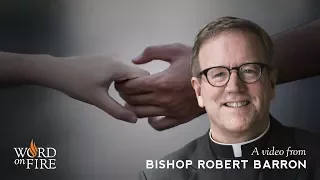 Bishop Barron on Contraception and Social Change