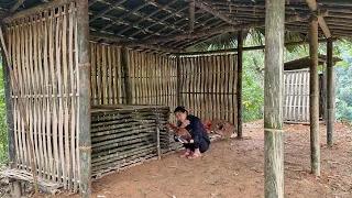 Completion of Bamboo House for Chickens & Ducks 2023 | Dang Thi Mui