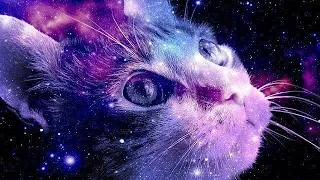 Atc - Around the World (la, la, la, la, la) 3 in 1 remix /magical kitty in space remixes/