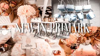 NEW IN PRIMARK FEBRUARY 2022 | Spring Clothing, Homeware & Accessories | Sophie Faye