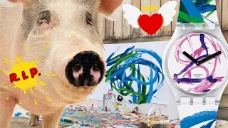 The Story of Pigcasso.THE FAREWELL of the PAINTER PIG, with his PAINTINGS he SAVED many ANIMALS