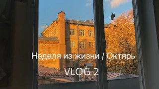 Неделя из жизни, универ, рок-концерт, осень, мои впечатления / VLOG 2