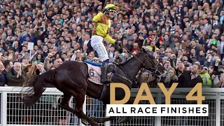 ALL RACE FINISHES FROM GOLD CUP DAY OF THE CHELTENHAM FESTIVAL 2023