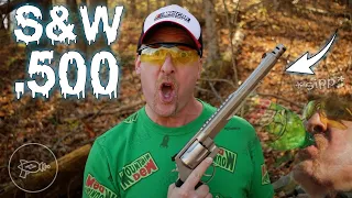 Y'ALL LIKE 'SPLODIN STUFF? [ S&W .500 Magnum VS All the Things! ]