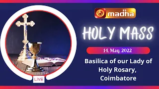 🔴 LIVE 14 May 2022 Holy Mass in Tamil 06:00 AM (Morning Mass) | Madha TV