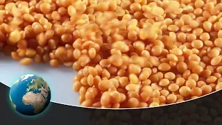 Lentils - The humble pearls of the earth