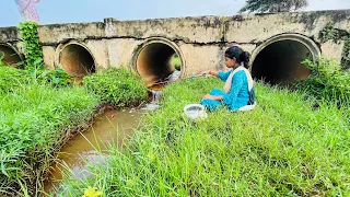 Fishing Video || Young Beautiful Girl Amazing Hook Fishing in the roadside Canal || Canal Fishing