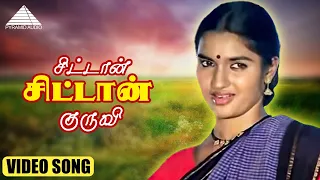 சிட்டான் சிட்டான் குருவி HD Video Song | புது நெல்லு புது நாத்து | நெப்போலியன் | சுகன்யா | இளையராஜா