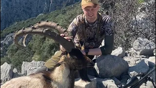 Bezoar ibex hunting in Turkey🇹🇷