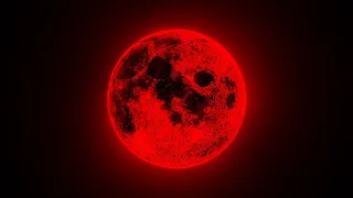 Rok Nardin - Blood Moon