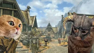 Meme cat's in Skyrim