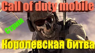 Стрим-пати / Call of duty mobile /Замесы в Королевской битве