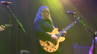 I Got A Feeling - Gov't Mule New Years Eve December 31, 2019 with Connor Kennedy