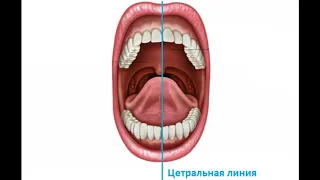 поверхности зуба кратко