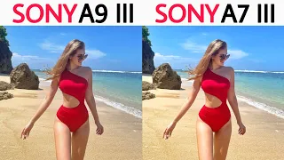 Sony A9 iii Vs Sony A7 iii | Camera comparison | Better Than Ever!