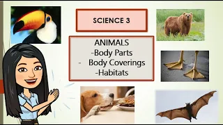 SCIENCE Q2Week3 Animals body coverings, parts, habitats Lesson1