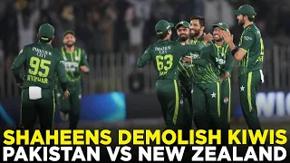 Shaheens Demolish Kiwis at Lahore | Pakistan vs New Zealand | T20I | PCB | M2B2A