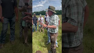 Greg Judy Discussing Manure Patties and Cattle Health #cows #regenerativefarming #shorts